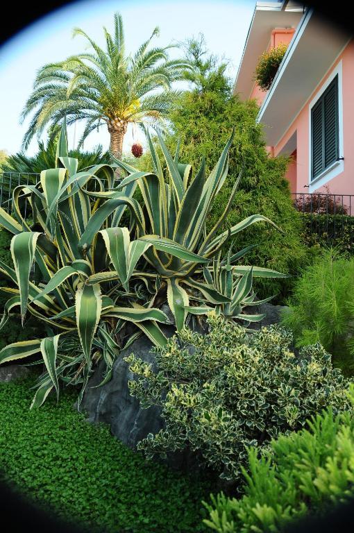 Residence La Cycas Villammare Luaran gambar